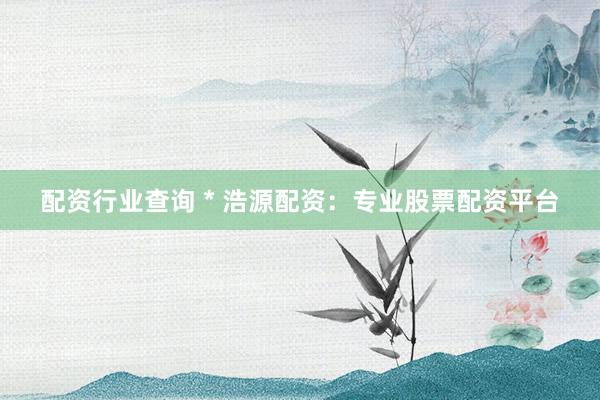 配资行业查询 * 浩源配资：专业股票配资平台