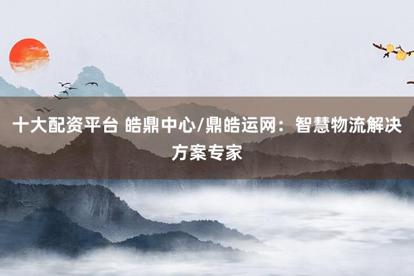 十大配资平台 皓鼎中心/鼎皓运网：智慧物流解决方案专家