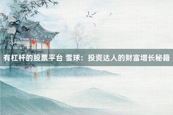 有杠杆的股票平台 雪球：投资达人的财富增长秘籍