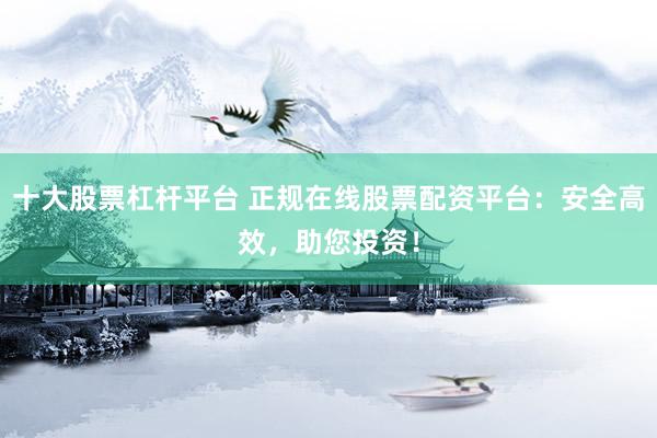 十大股票杠杆平台 正规在线股票配资平台：安全高效，助您投资！