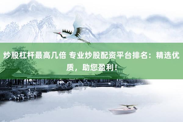 炒股杠杆最高几倍 专业炒股配资平台排名：精选优质，助您盈利！