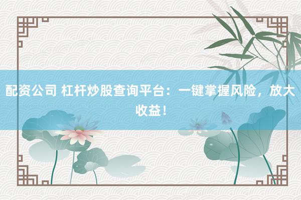 配资公司 杠杆炒股查询平台：一键掌握风险，放大收益！