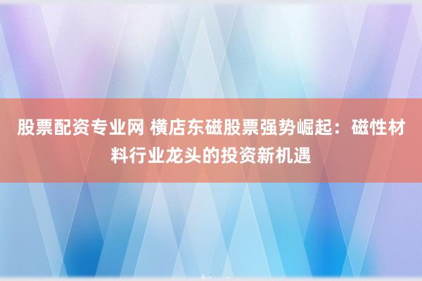 股票配资专业网 横店东磁股票强势崛起：磁性材料行业龙头的投资新机遇