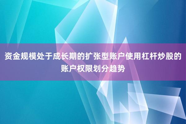 资金规模处于成长期的扩张型账户使用杠杆炒股的账户权限划分趋势