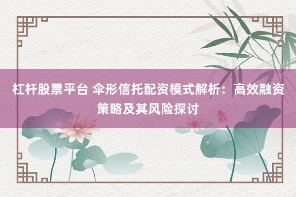 杠杆股票平台 伞形信托配资模式解析：高效融资策略及其风险探讨