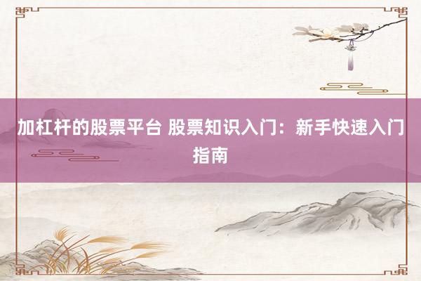 加杠杆的股票平台 股票知识入门：新手快速入门指南