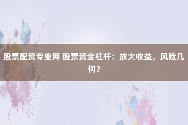 股票配资专业网 股票资金杠杆：放大收益，风险几何？
