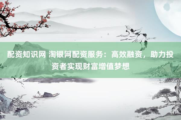 配资知识网 淘银网配资服务:高效融资,助力投资者实现财富增值梦想